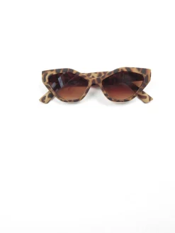 Modern Marni Women's Sunglasses