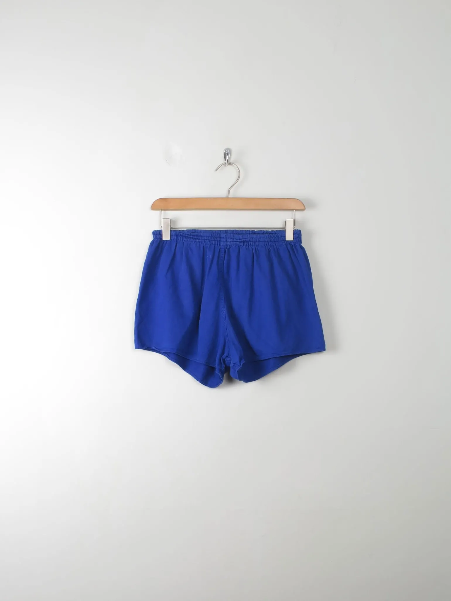 Vintage Electric Blue Shorts S/M