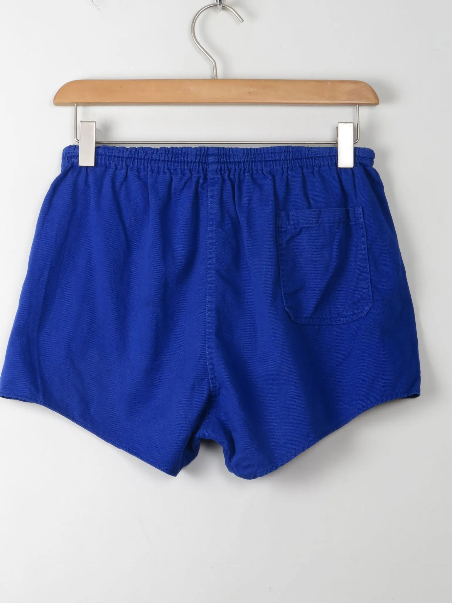 Vintage Electric Blue Shorts S/M